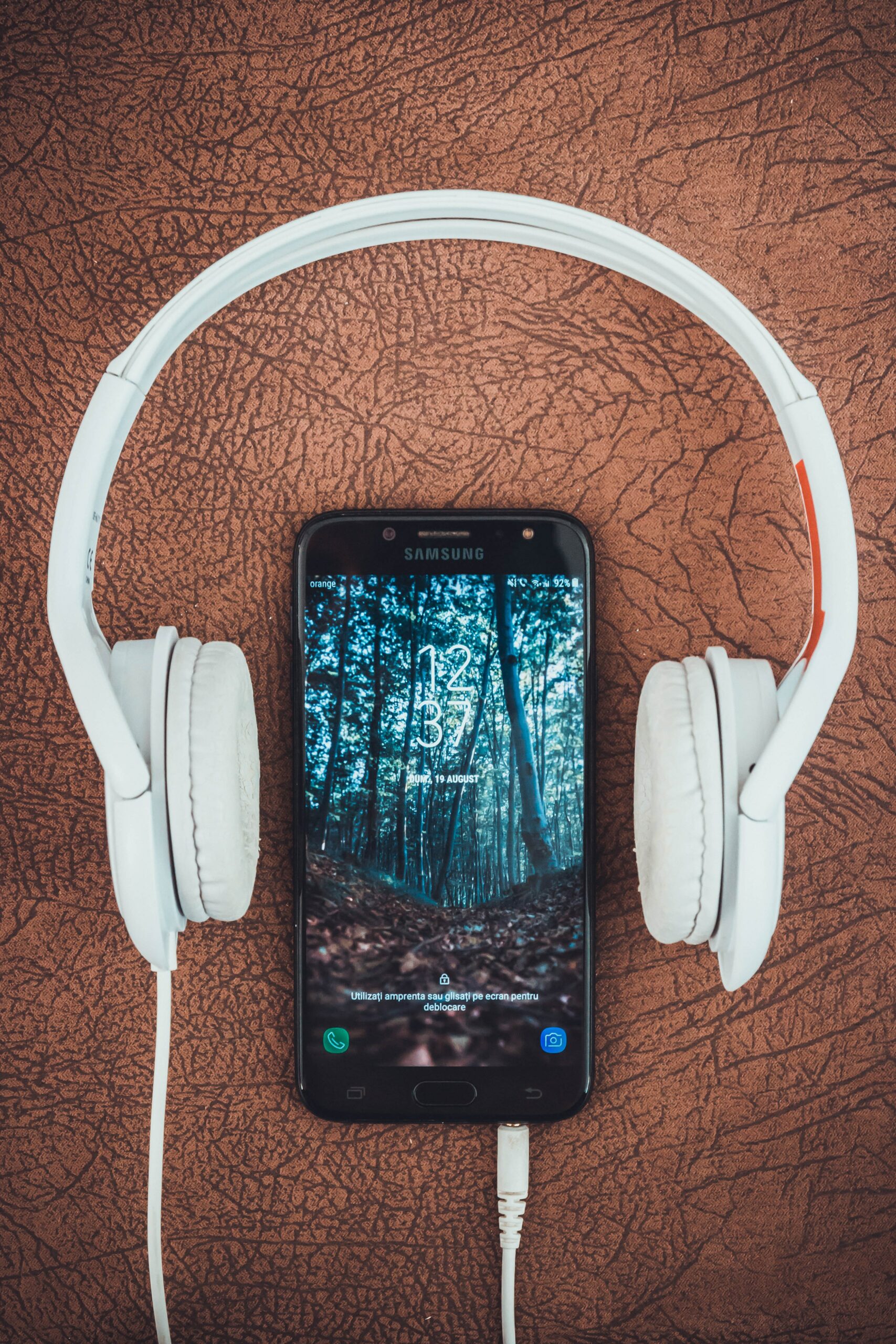 Nachhaltigkeitslieder – Ideen für eine Playlist